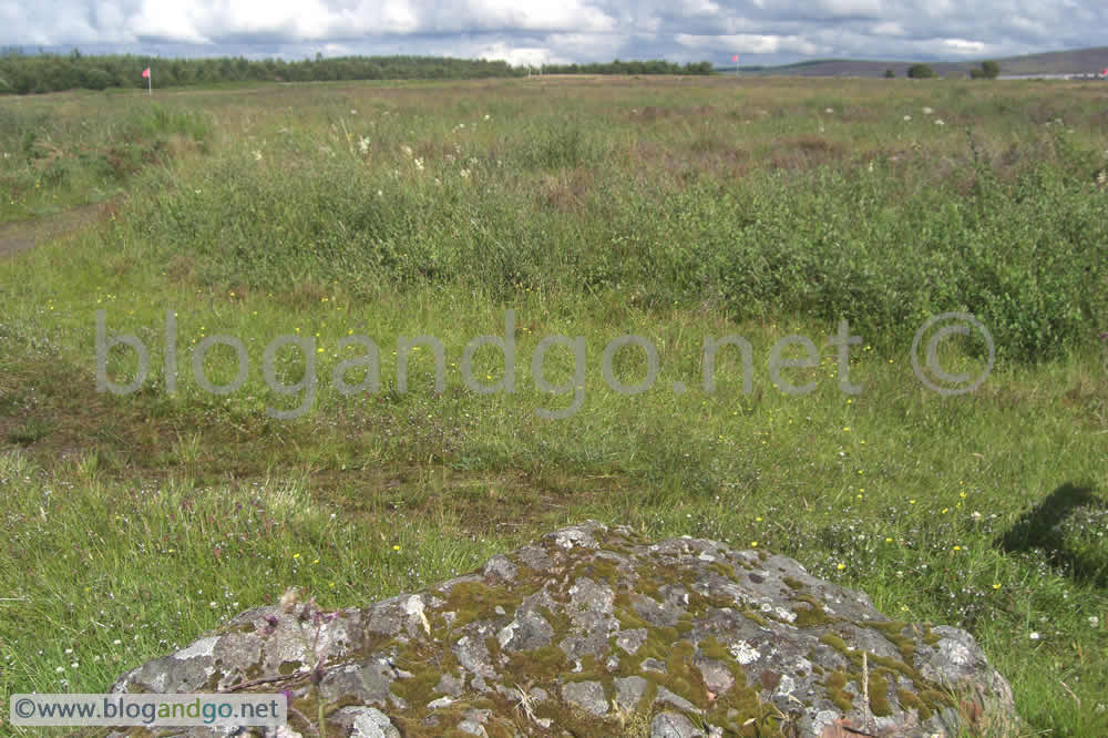 Keppoch Stone with government lines ahead